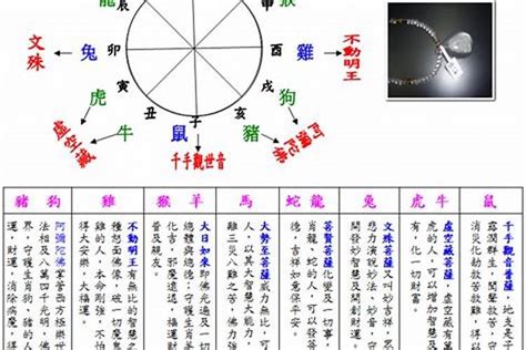 2003年五行属什么|2003年属羊是什么命五行属什么？属羊人的性格与运势全解析